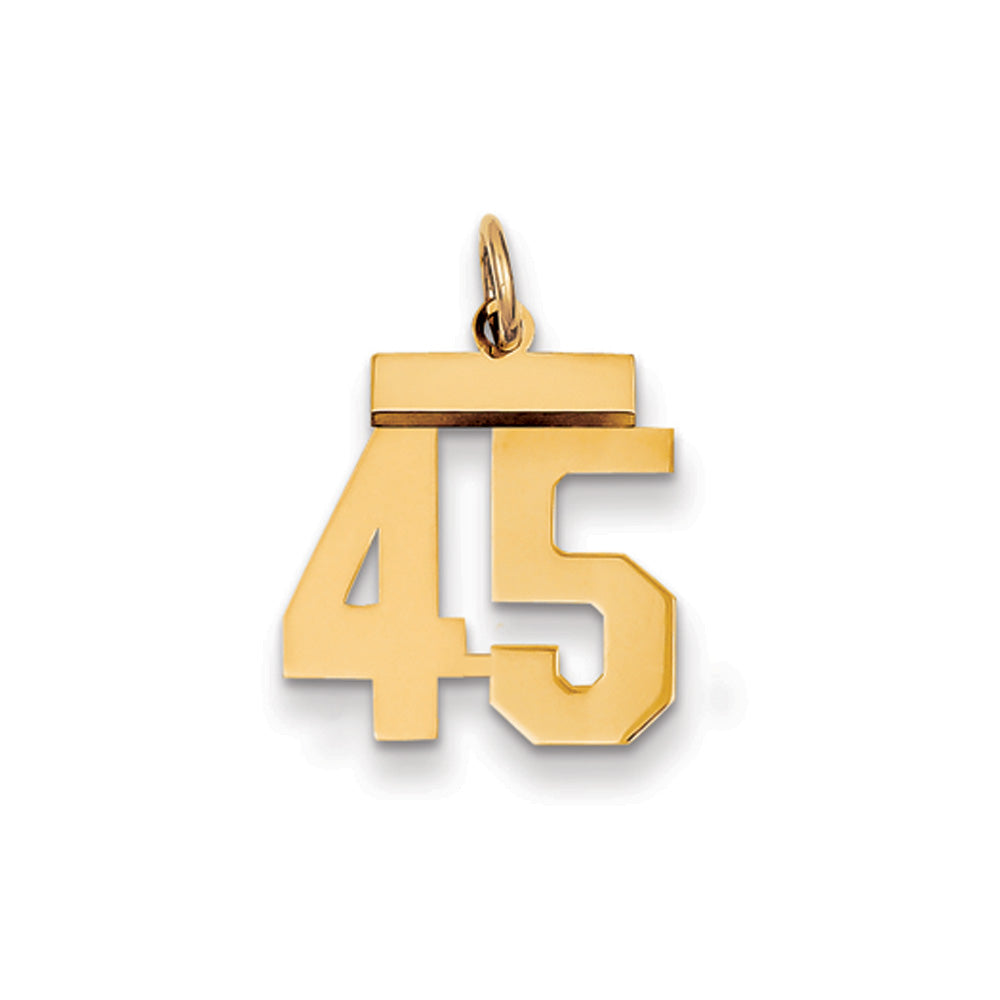 14k Yellow Gold, Athletic Collection, Small Polished Number 45 Pendant, Item P10390-45 by The Black Bow Jewelry Co.