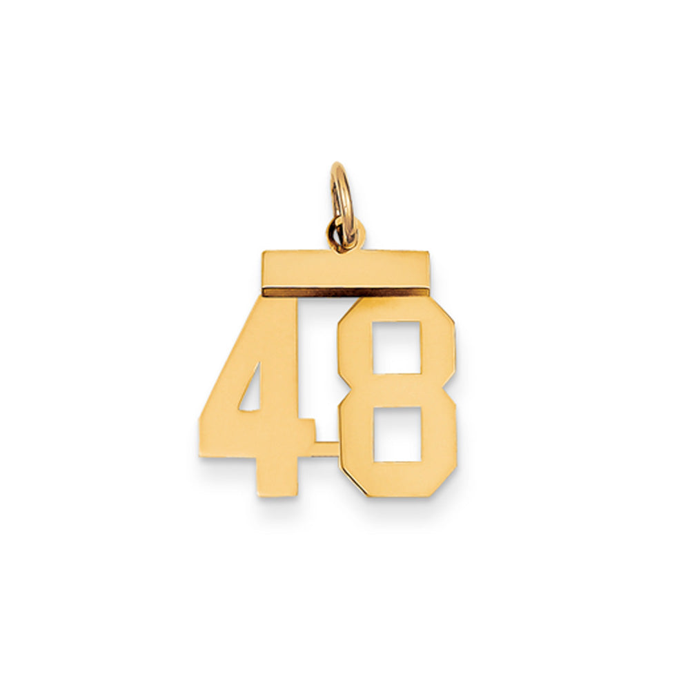 14k Yellow Gold, Athletic Collection, Small Polished Number 48 Pendant, Item P10390-48 by The Black Bow Jewelry Co.