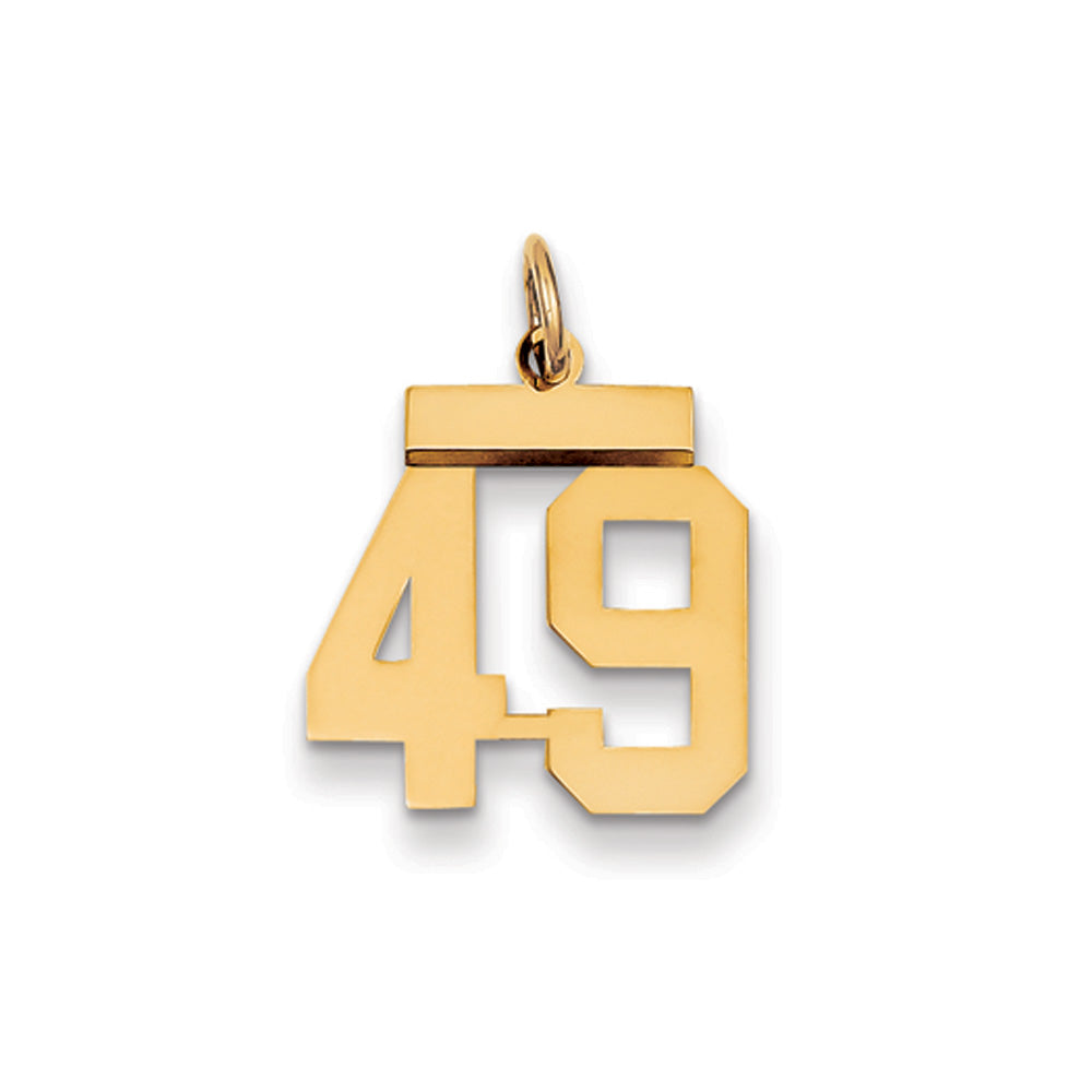14k Yellow Gold, Athletic Collection, Small Polished Number 49 Pendant, Item P10390-49 by The Black Bow Jewelry Co.