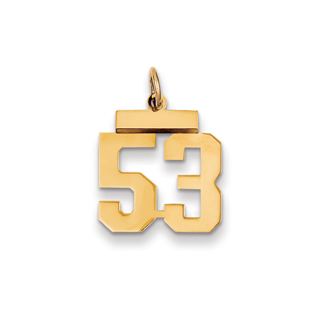 14k Yellow Gold, Athletic Collection, Small Polished Number 53 Pendant, Item P10390-53 by The Black Bow Jewelry Co.