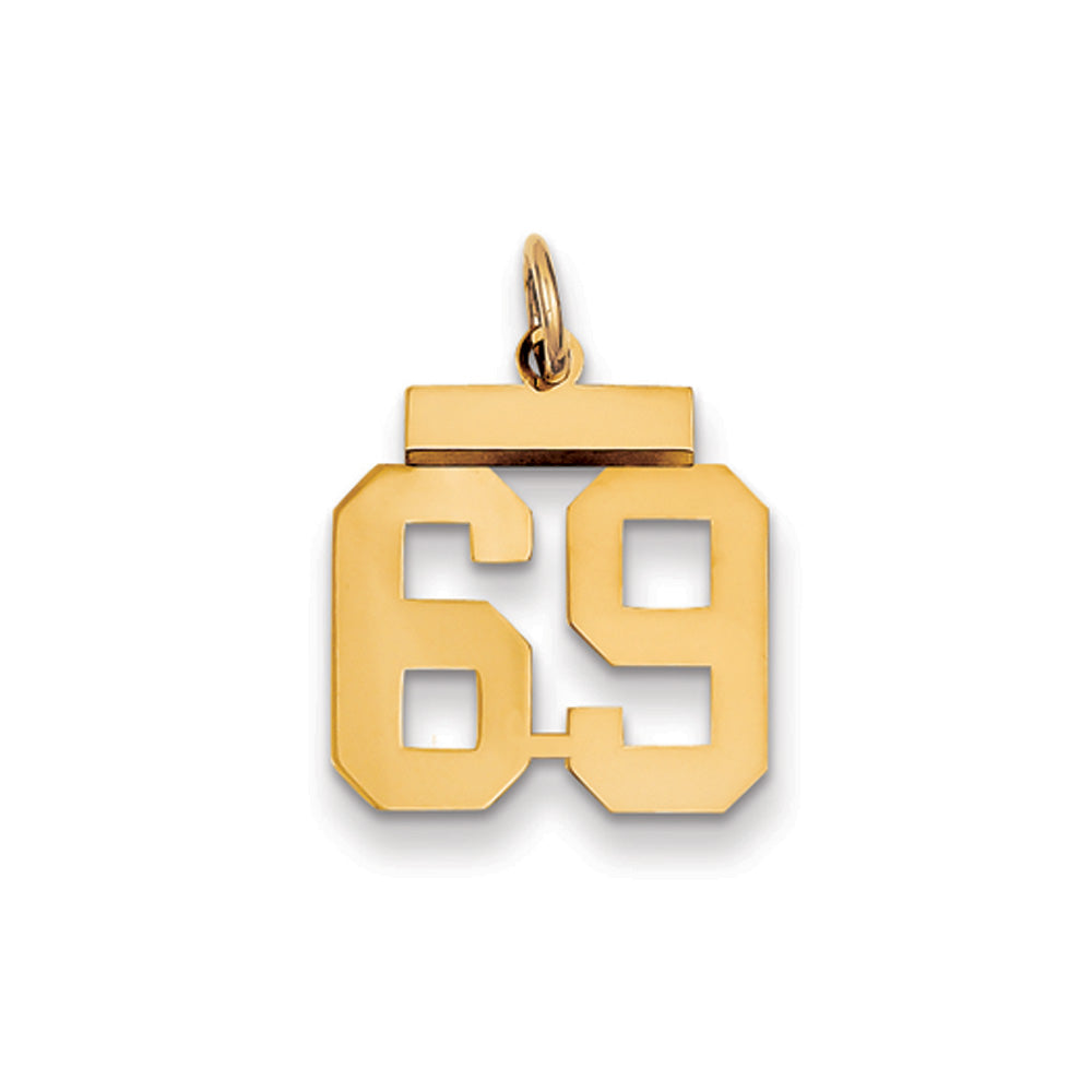 14k Yellow Gold, Athletic Collection, Small Polished Number 69 Pendant, Item P10390-69 by The Black Bow Jewelry Co.