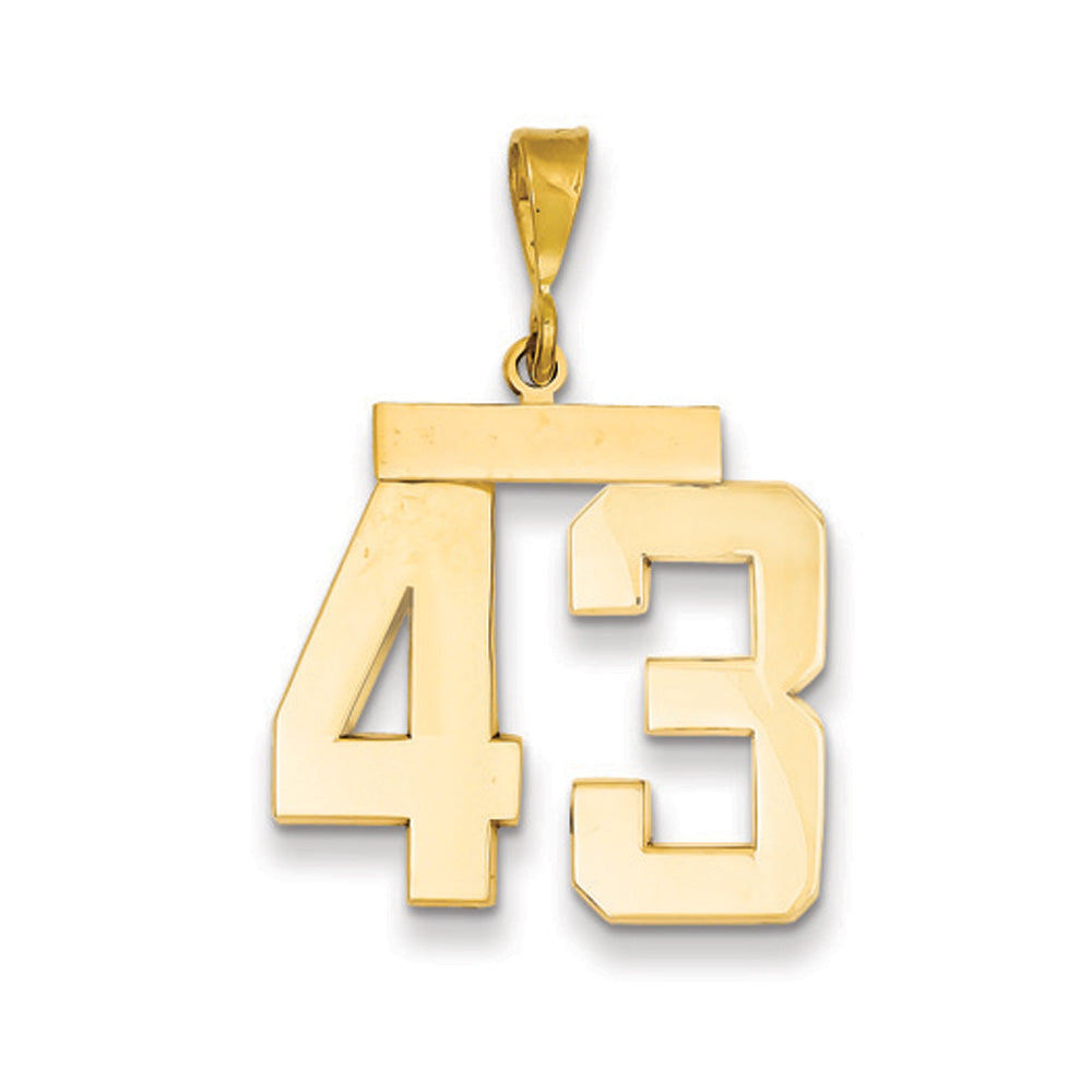 14k Yellow Gold, Athletic Collection, Large Polished Number 43 Pendant, Item P10399-43 by The Black Bow Jewelry Co.