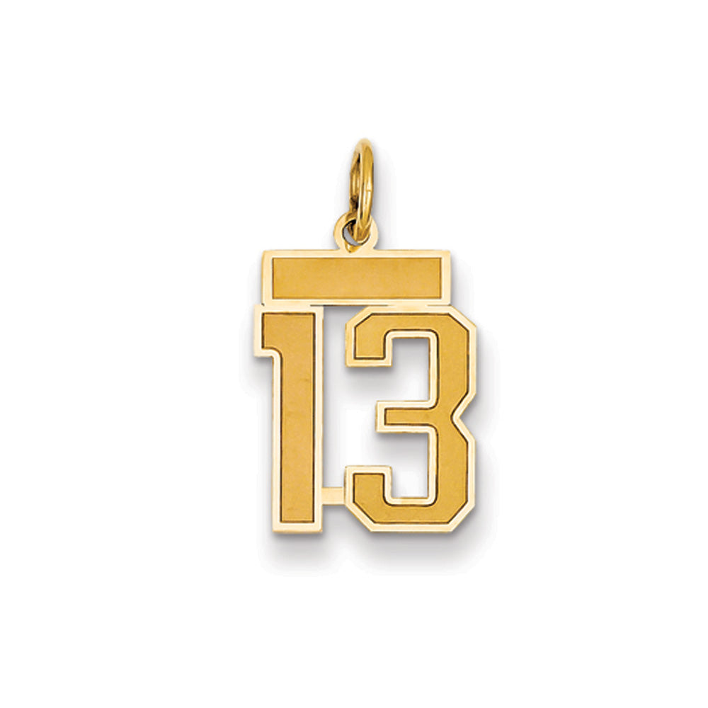 14k Yellow Gold, Jersey Collection, Small Number 13 Pendant, Item P10400-13 by The Black Bow Jewelry Co.