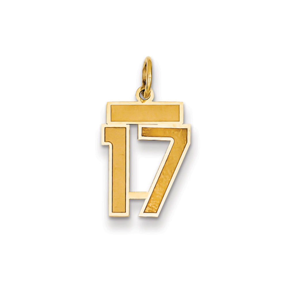 14k Yellow Gold, Jersey Collection, Small Number 17 Pendant, Item P10400-17 by The Black Bow Jewelry Co.