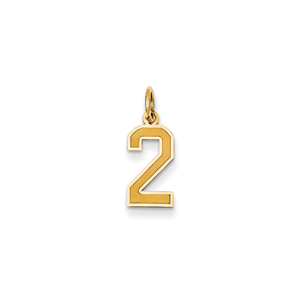 14k Yellow Gold, Jersey Collection, Small Number 2 Pendant, Item P10400-2 by The Black Bow Jewelry Co.