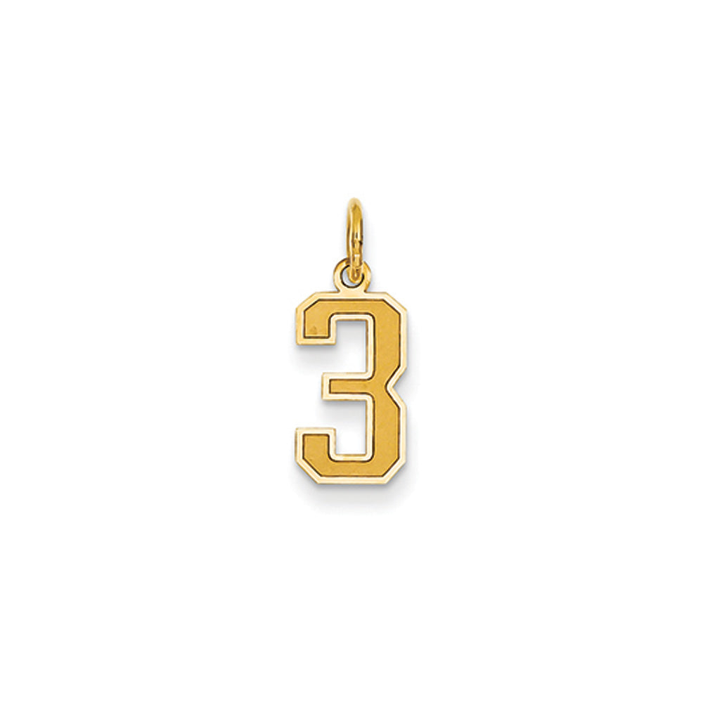 14k Yellow Gold, Jersey Collection, Small Number 3 Pendant, Item P10400-3 by The Black Bow Jewelry Co.