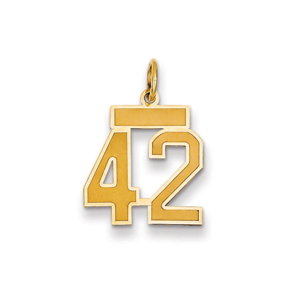 14k Yellow Gold, Jersey Collection, Small Number 42 Pendant, Item P10400-42 by The Black Bow Jewelry Co.