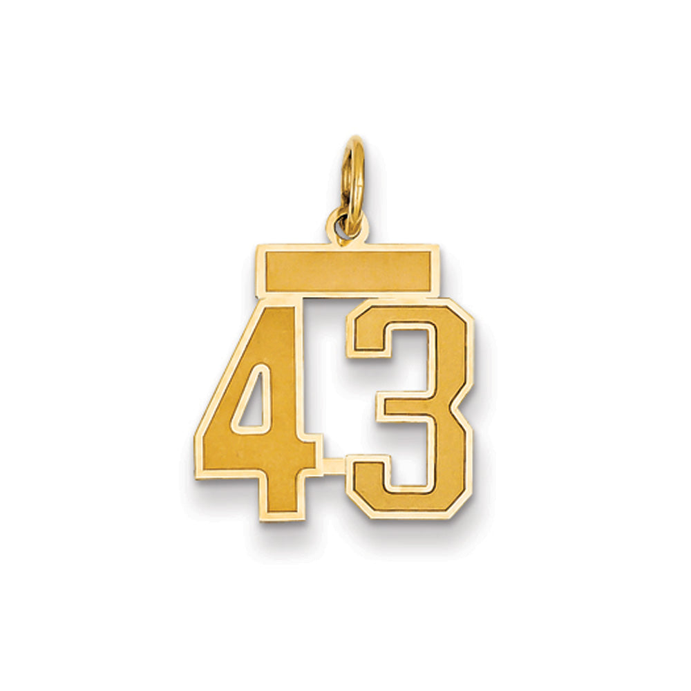 14k Yellow Gold, Jersey Collection, Small Number 43 Pendant, Item P10400-43 by The Black Bow Jewelry Co.