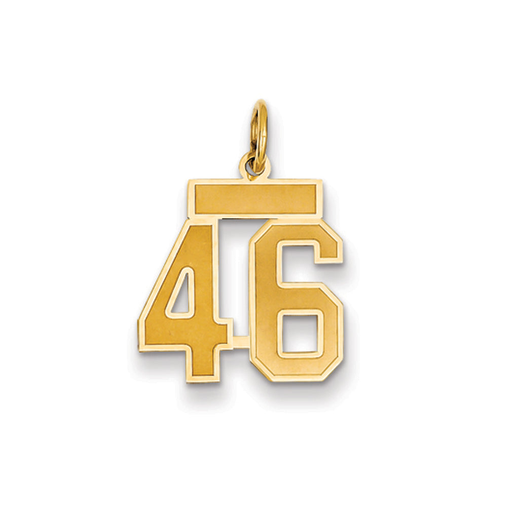 14k Yellow Gold, Jersey Collection, Small Number 46 Pendant, Item P10400-46 by The Black Bow Jewelry Co.