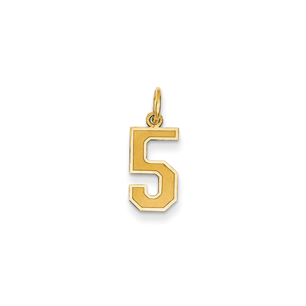 14k Yellow Gold, Jersey Collection, Small Number 5 Pendant, Item P10400-5 by The Black Bow Jewelry Co.
