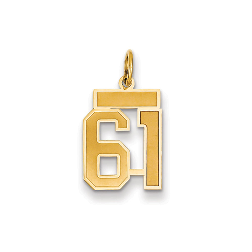 14k Yellow Gold, Jersey Collection, Small Number 61 Pendant, Item P10400-61 by The Black Bow Jewelry Co.