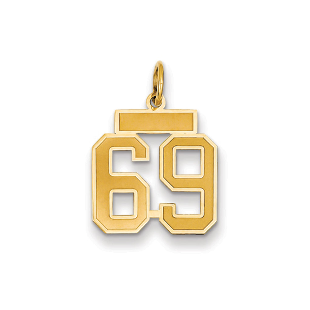 14k Yellow Gold, Jersey Collection, Small Number 69 Pendant, Item P10400-69 by The Black Bow Jewelry Co.
