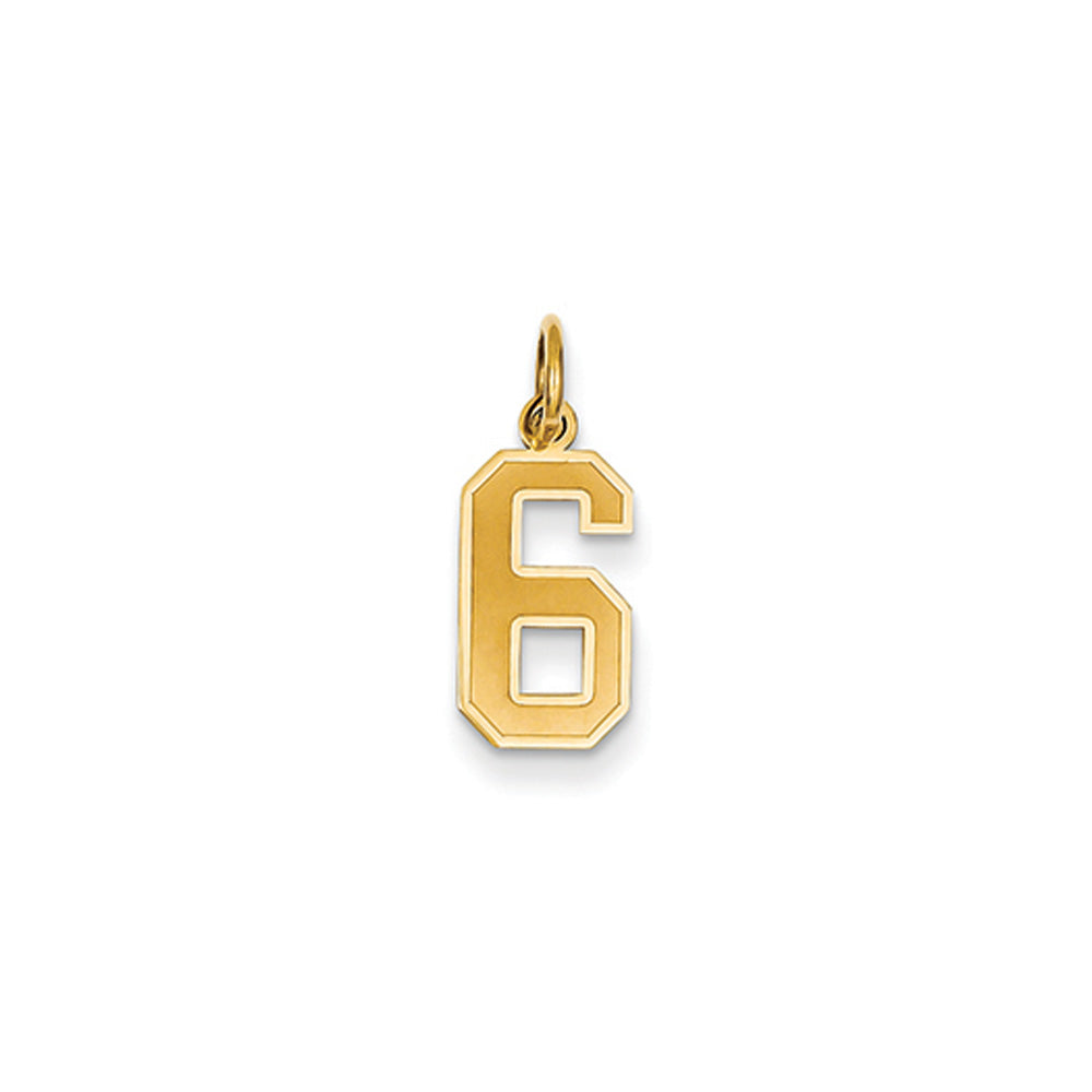 14k Yellow Gold, Jersey Collection, Small Number 6 Pendant, Item P10400-6 by The Black Bow Jewelry Co.