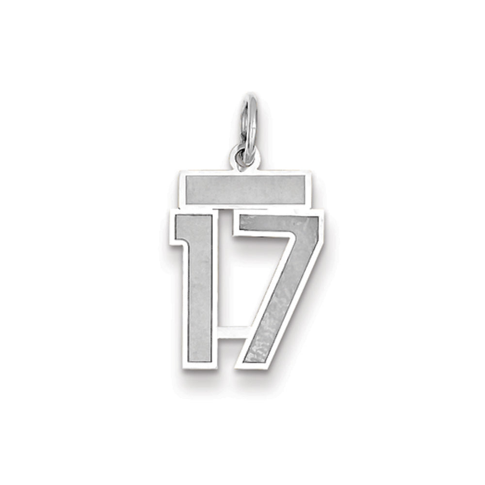 14k White Gold, Jersey Collection, Small Number 17 Pendant, Item P10401-17 by The Black Bow Jewelry Co.