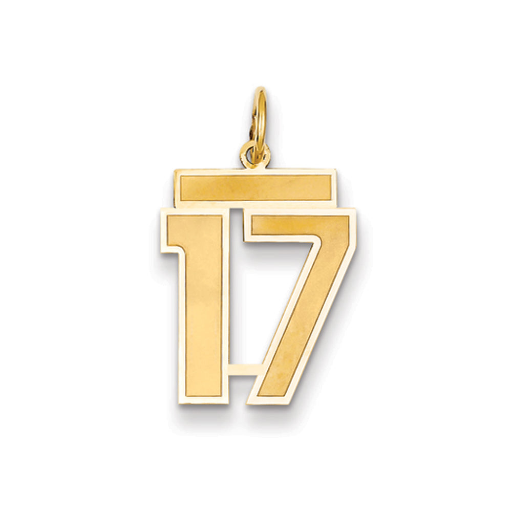 14k Yellow Gold, Jersey Collection, Medium Number 17 Pendant, Item P10402-17 by The Black Bow Jewelry Co.