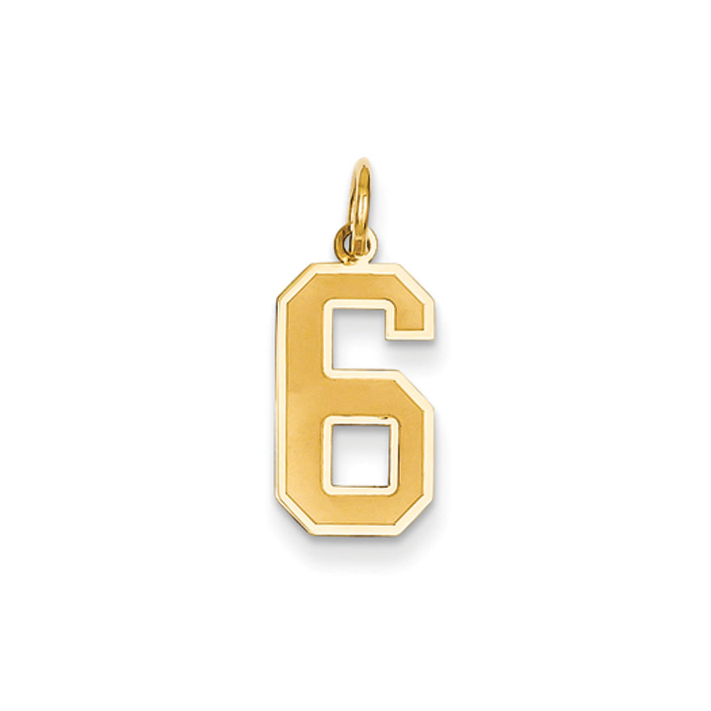 14k Yellow Gold, Jersey Collection, Medium Number 6 Pendant, Item P10402-6 by The Black Bow Jewelry Co.