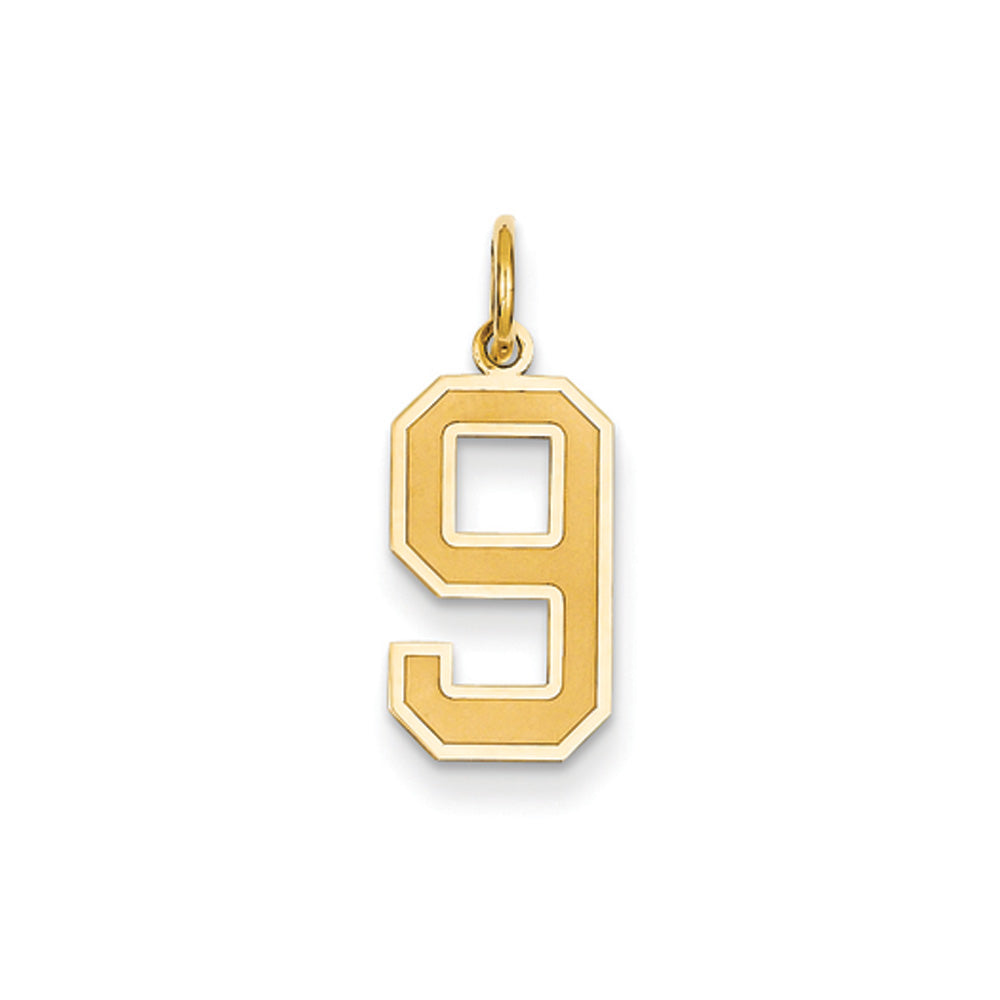 14k Yellow Gold, Jersey Collection, Medium Number 9 Pendant, Item P10402-9 by The Black Bow Jewelry Co.