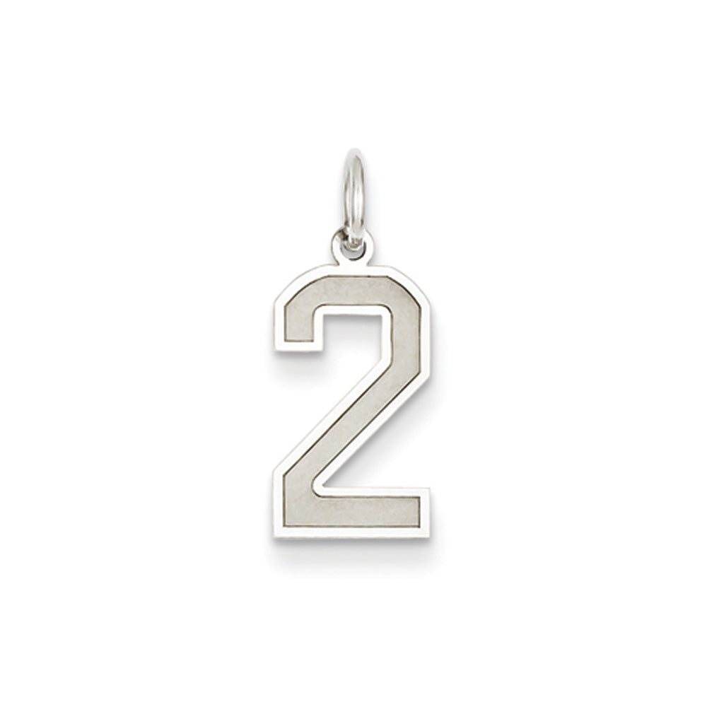 14k White Gold, Jersey Collection, Medium Number 2 Pendant, Item P10403-2 by The Black Bow Jewelry Co.