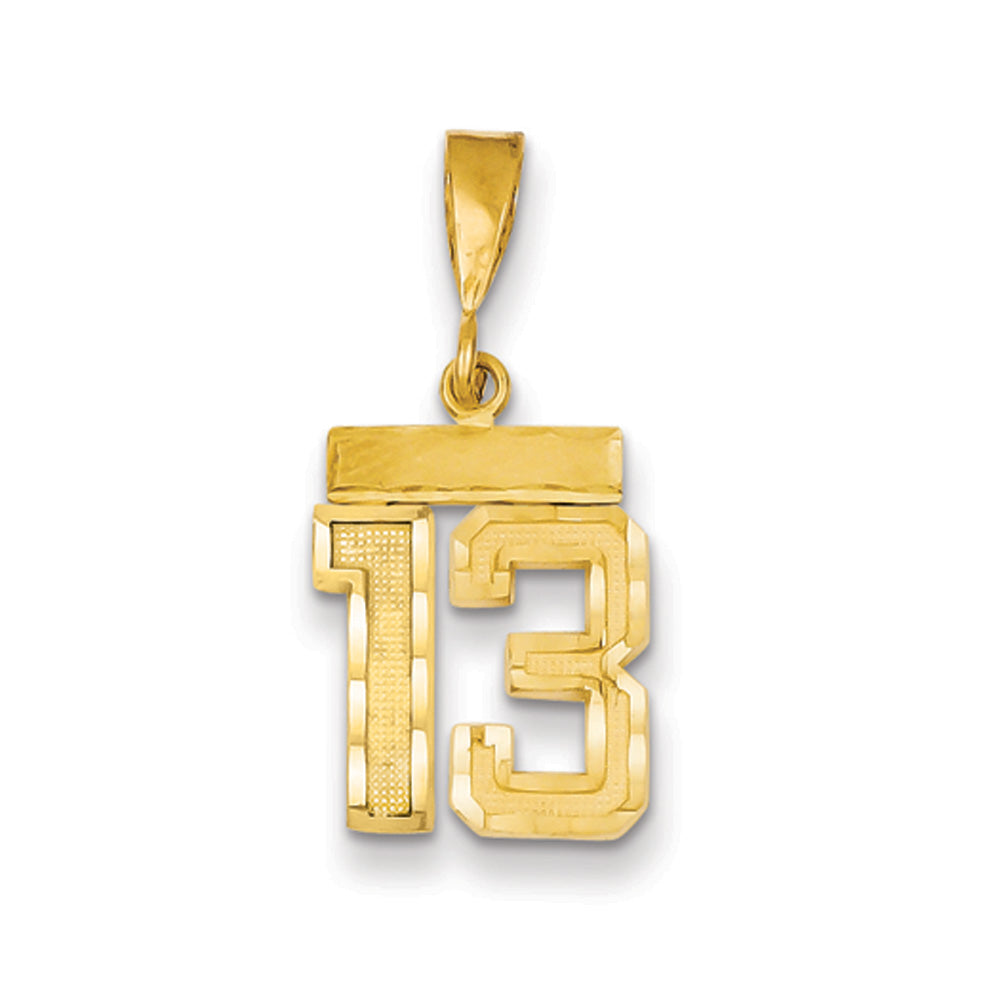 14k Yellow Gold, Varsity Collection, Small D/C Pendant Number 13, Item P10408-13 by The Black Bow Jewelry Co.