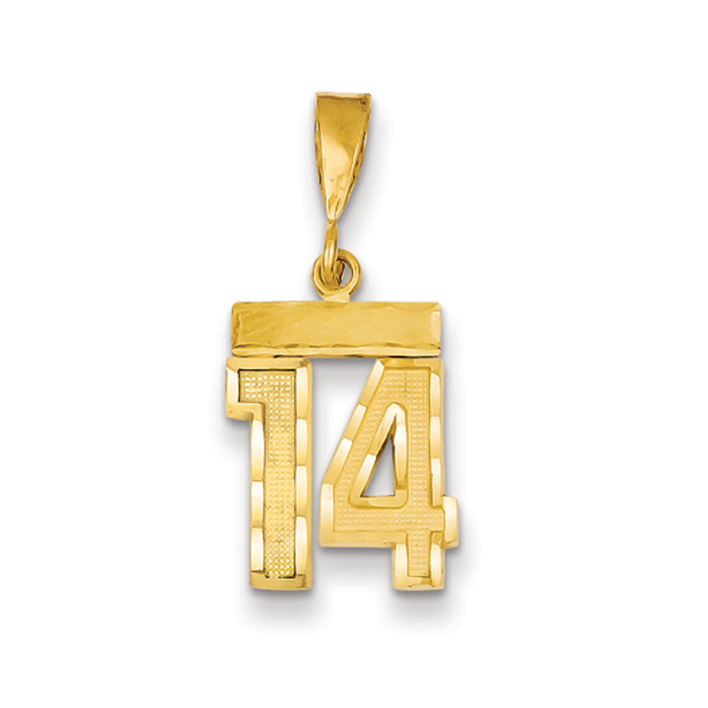 14k Yellow Gold, Varsity Collection, Small D/C Pendant Number 14, Item P10408-14 by The Black Bow Jewelry Co.