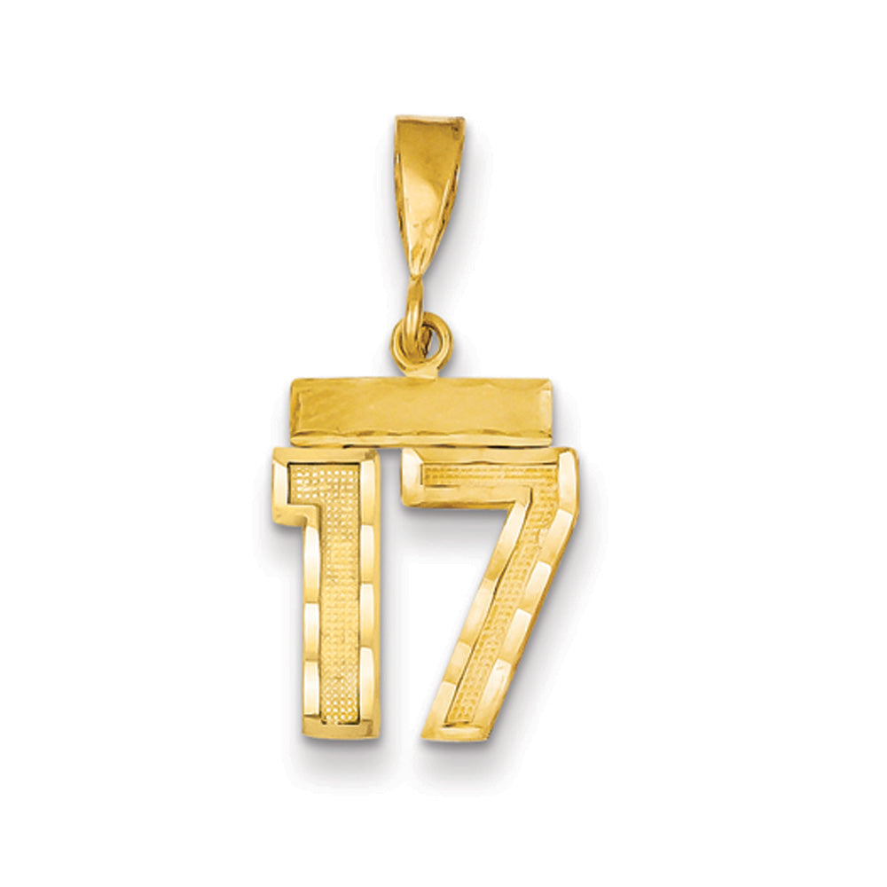 14k Yellow Gold, Varsity Collection, Small D/C Pendant Number 17, Item P10408-17 by The Black Bow Jewelry Co.