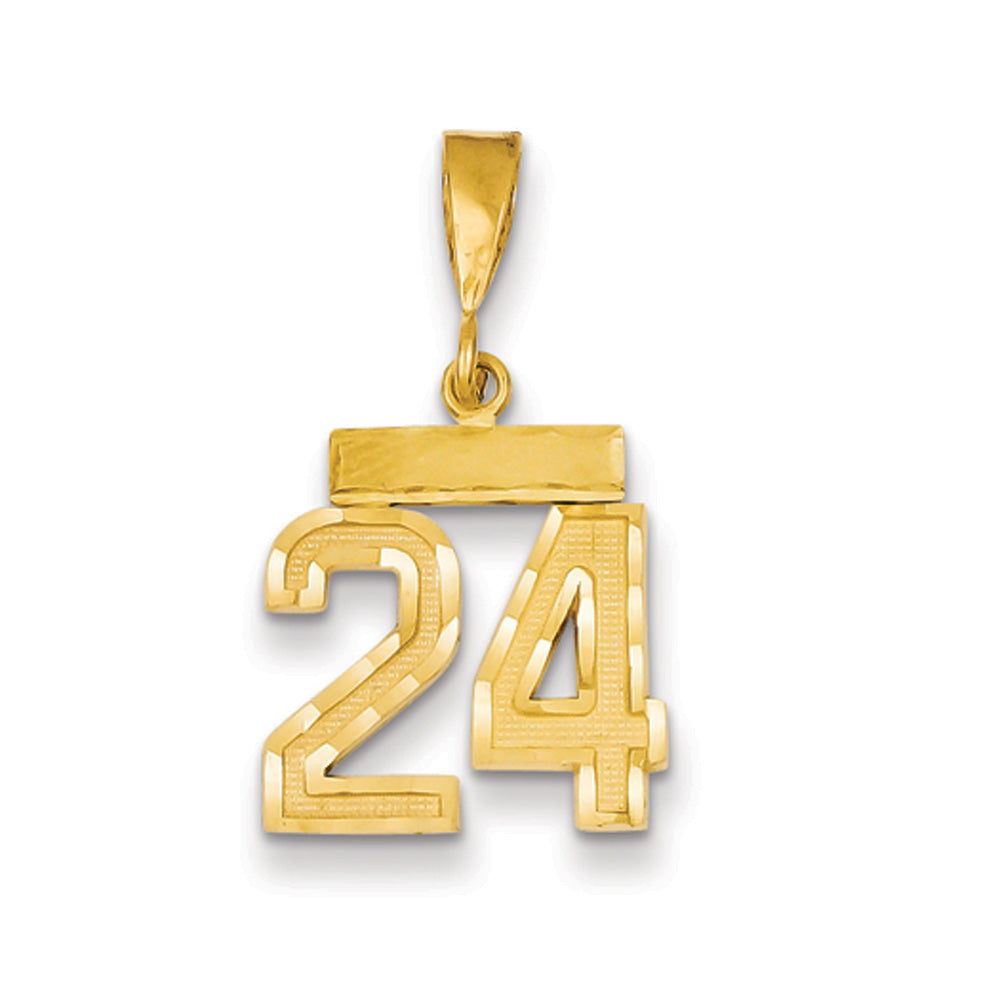 14k Yellow Gold, Varsity Collection, Small D/C Pendant Number 24, Item P10408-24 by The Black Bow Jewelry Co.