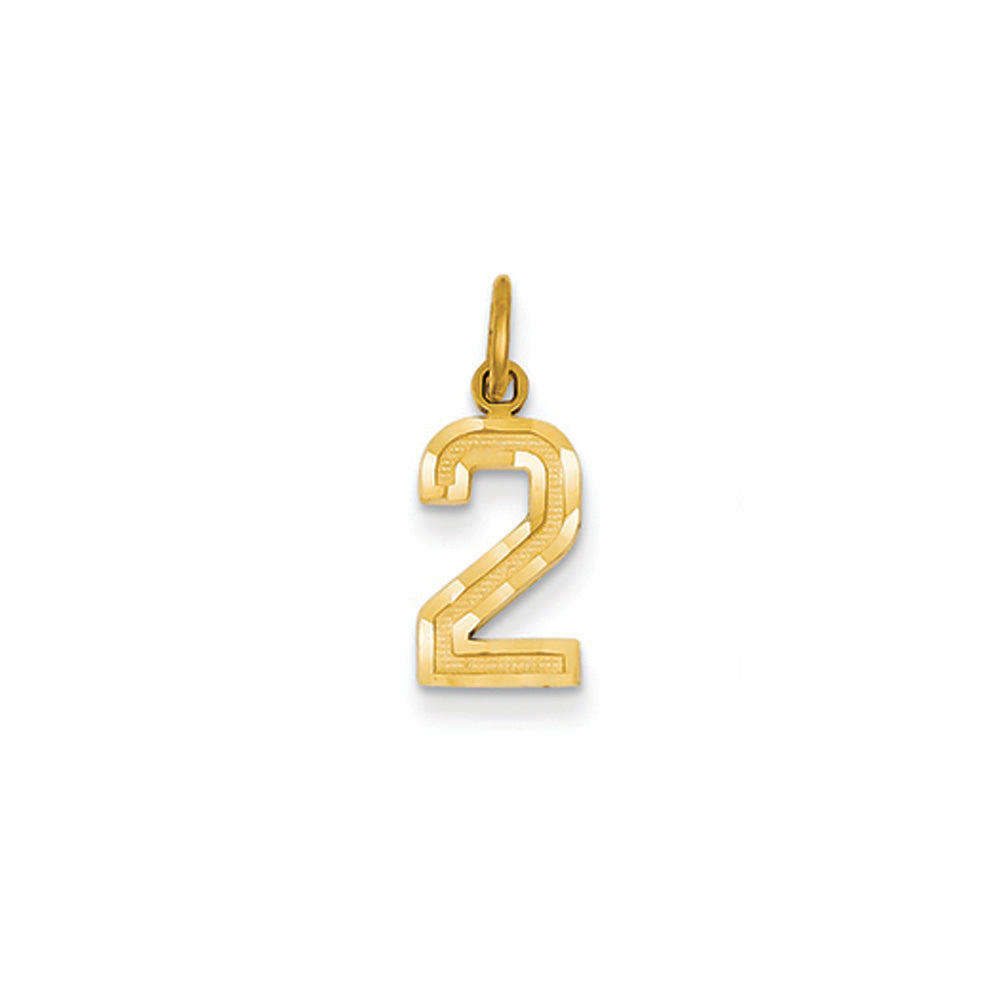 14k Yellow Gold, Varsity Collection, Small D/C Pendant Number 2, Item P10408-2 by The Black Bow Jewelry Co.