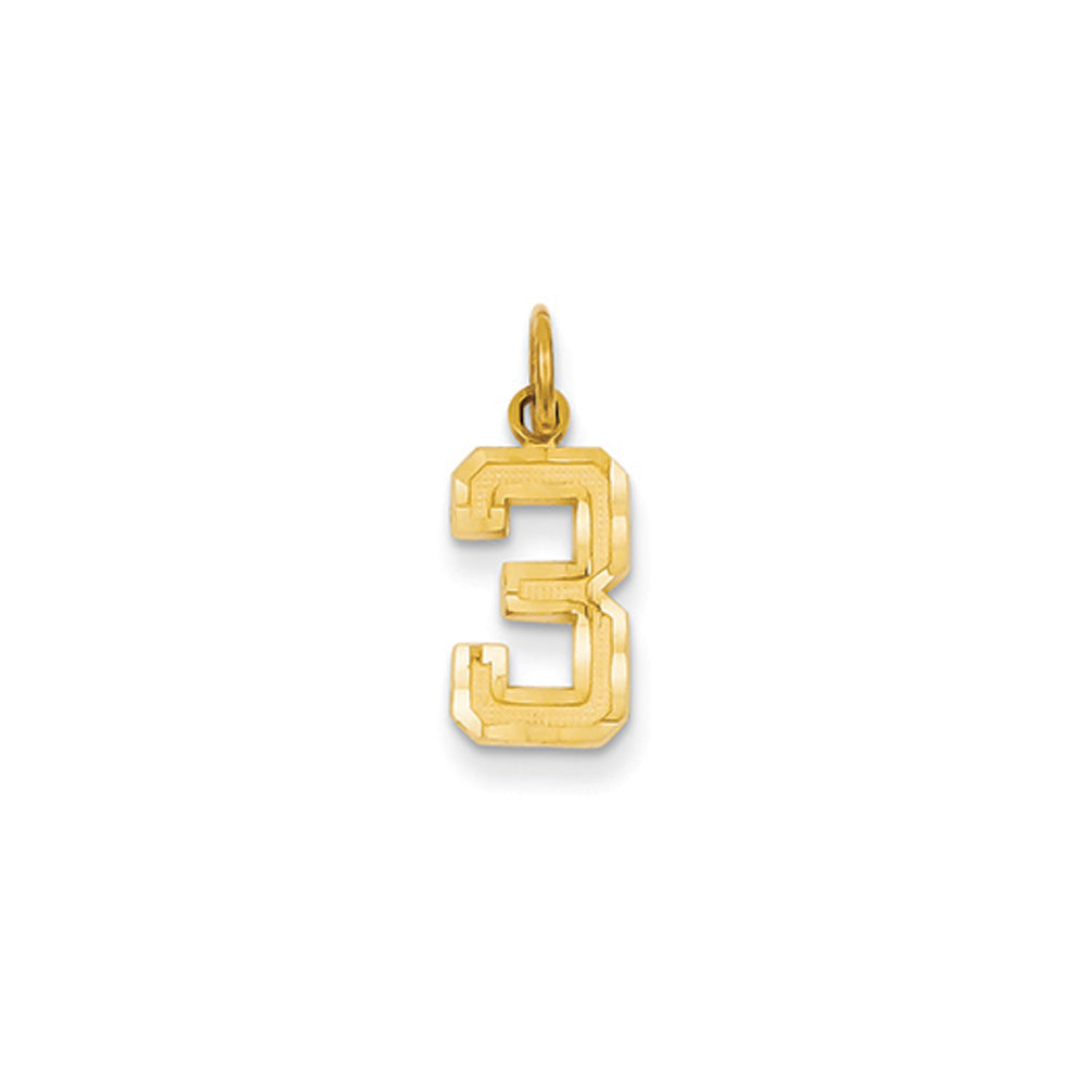 14k Yellow Gold, Varsity Collection, Small D/C Pendant Number 3, Item P10408-3 by The Black Bow Jewelry Co.