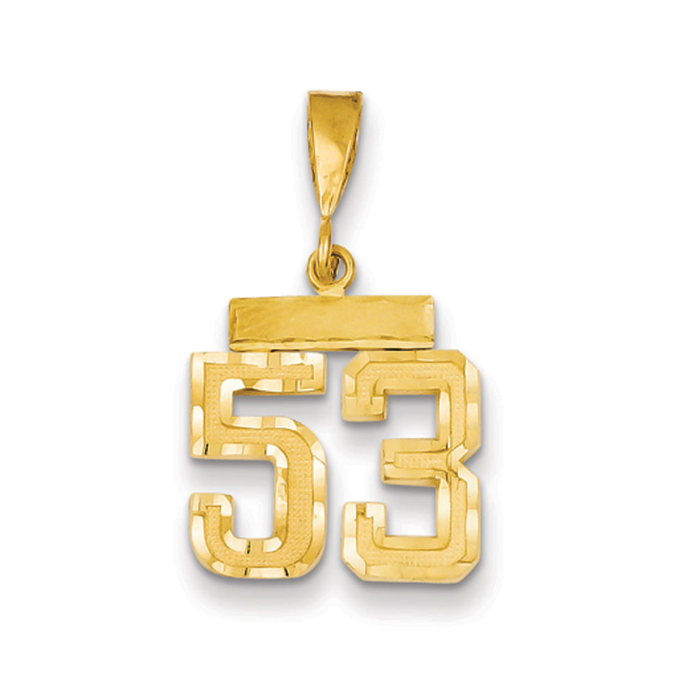 14k Yellow Gold, Varsity Collection, Small D/C Pendant Number 53, Item P10408-53 by The Black Bow Jewelry Co.