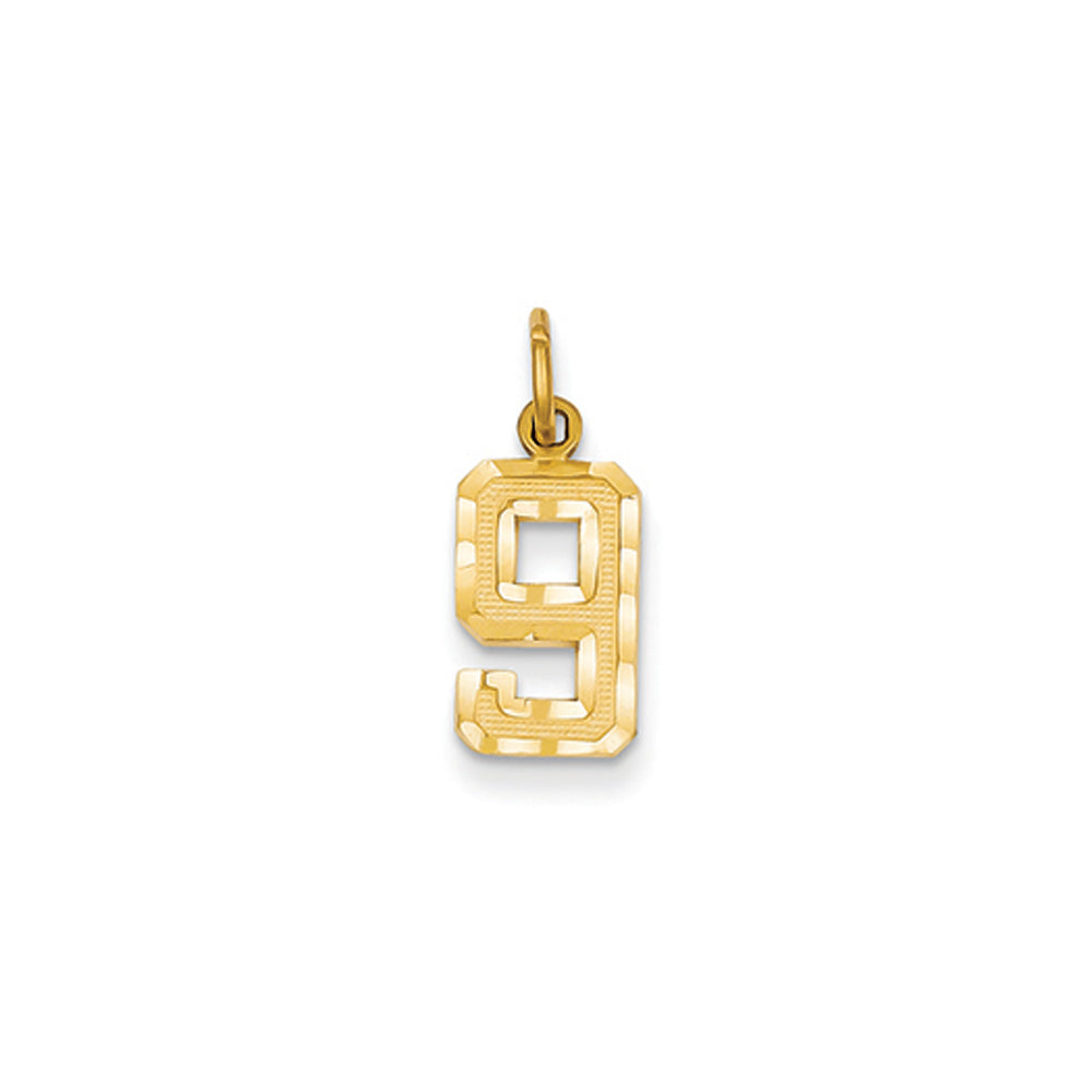 14k Yellow Gold, Varsity Collection, Small D/C Pendant Number 9, Item P10408-9 by The Black Bow Jewelry Co.