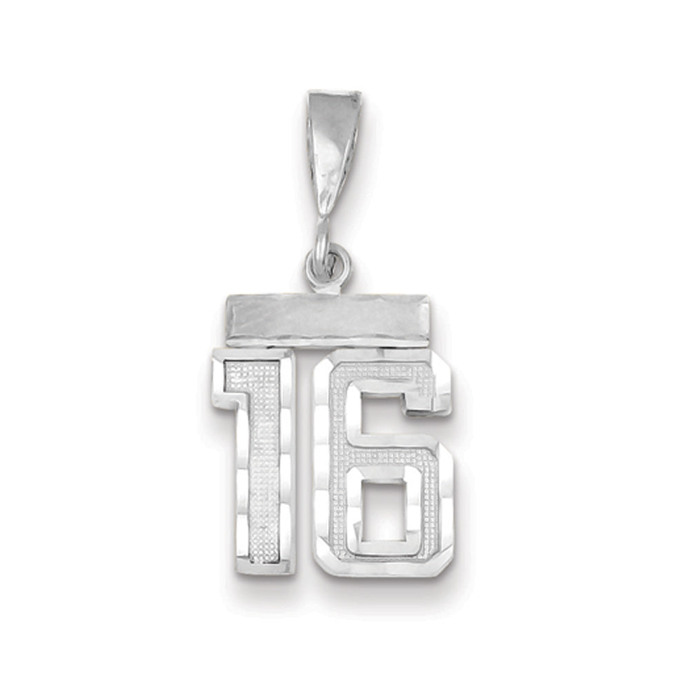 14k White Gold, Varsity Collection, Small D/C Pendant, Number 16, Item P10409-16 by The Black Bow Jewelry Co.