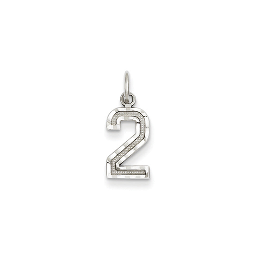 14k White Gold, Varsity Collection, Small D/C Pendant, Number 2, Item P10409-2 by The Black Bow Jewelry Co.