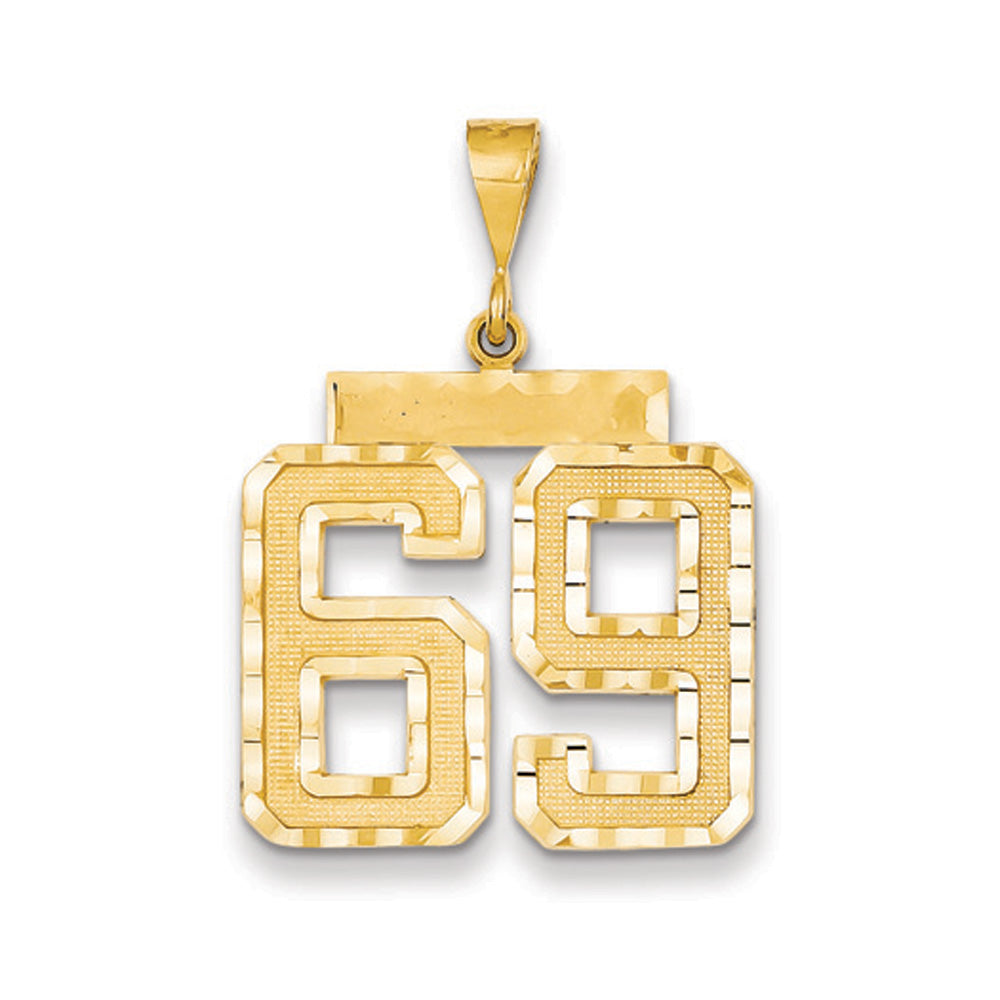 14k Yellow Gold, Varsity Collection, Large D/C Pendant Number 69, Item P10411-69 by The Black Bow Jewelry Co.