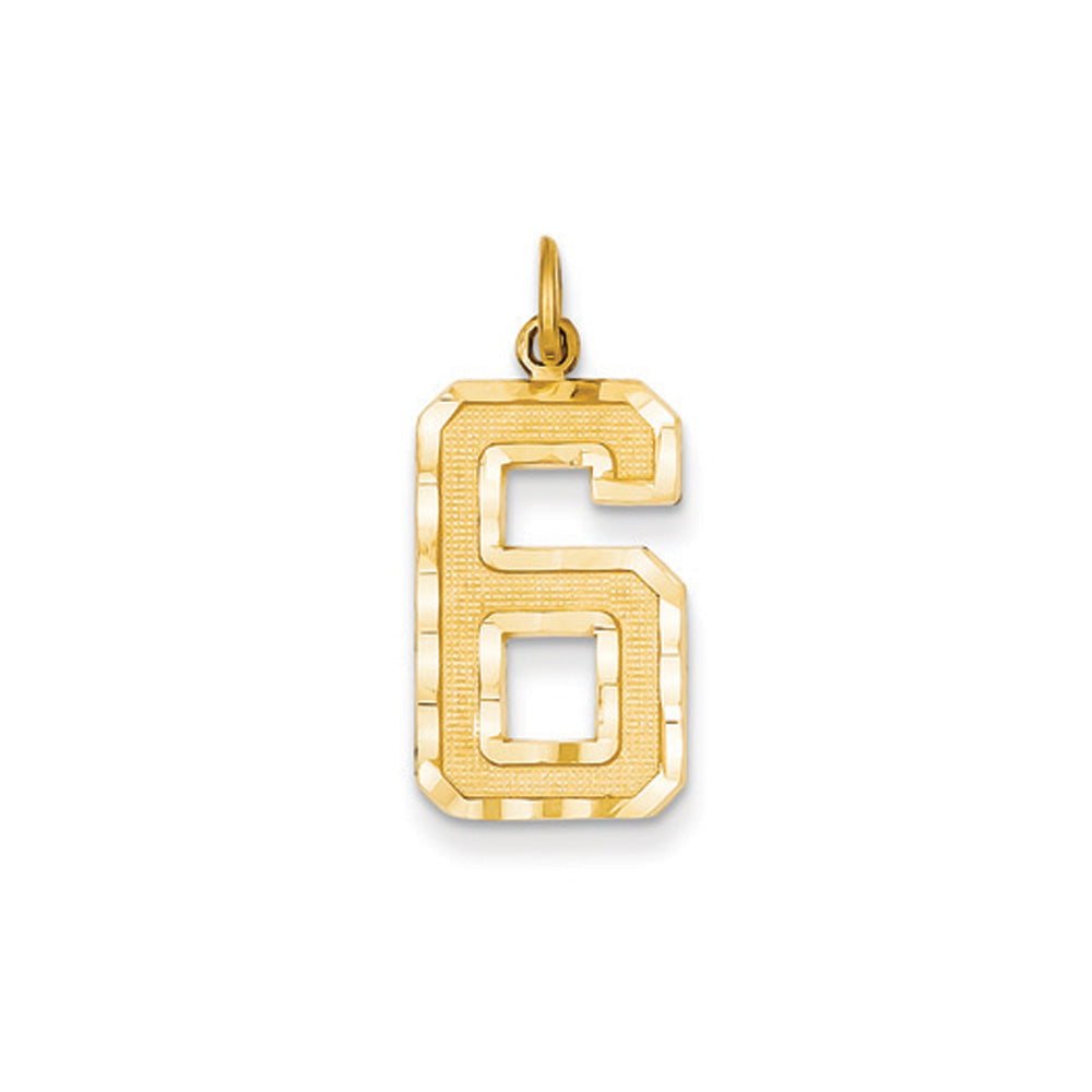 14k Yellow Gold, Varsity Collection, Large D/C Pendant Number 6, Item P10411-6 by The Black Bow Jewelry Co.