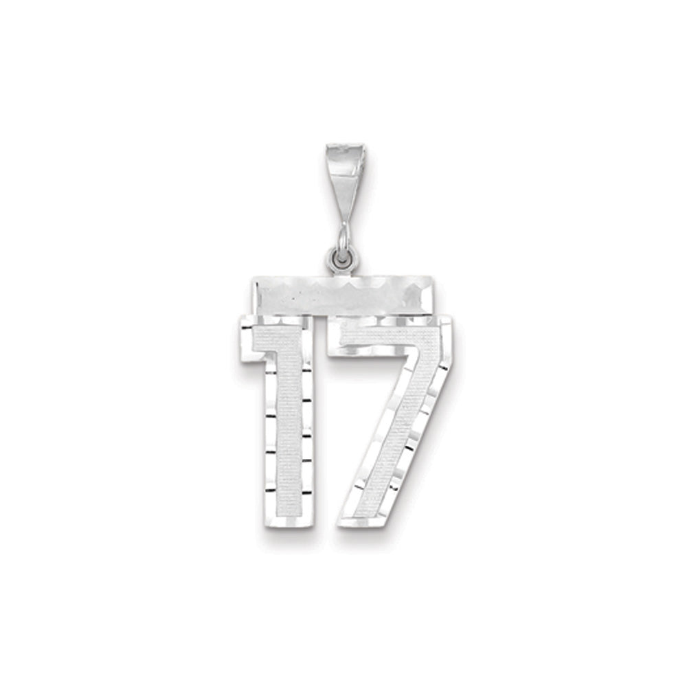 14k White Gold, Varsity Collection, Large D/C Pendant, Number 17, Item P10412-17 by The Black Bow Jewelry Co.