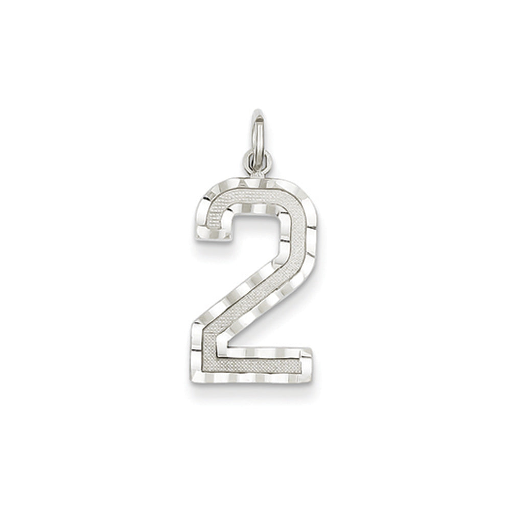 14k White Gold, Varsity Collection, Large D/C Pendant, Number 2, Item P10412-2 by The Black Bow Jewelry Co.