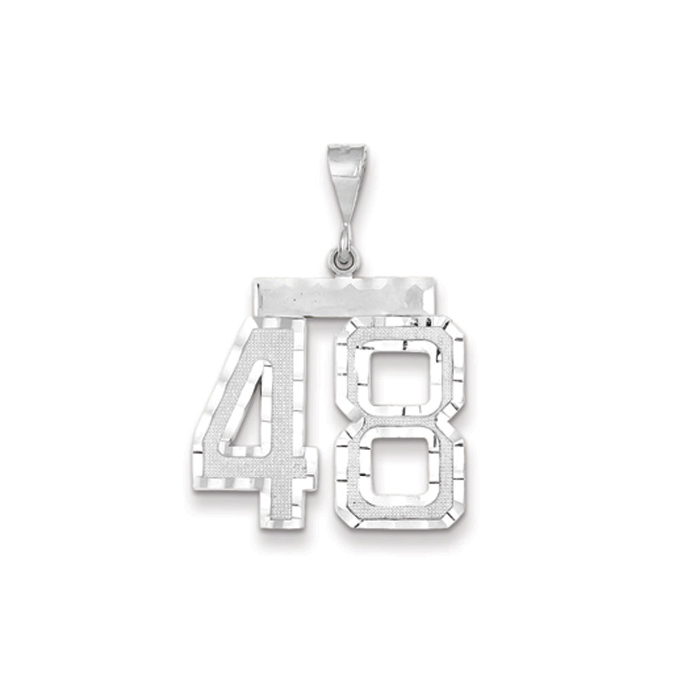 14k White Gold, Varsity Collection, Large D/C Pendant, Number 48, Item P10412-48 by The Black Bow Jewelry Co.