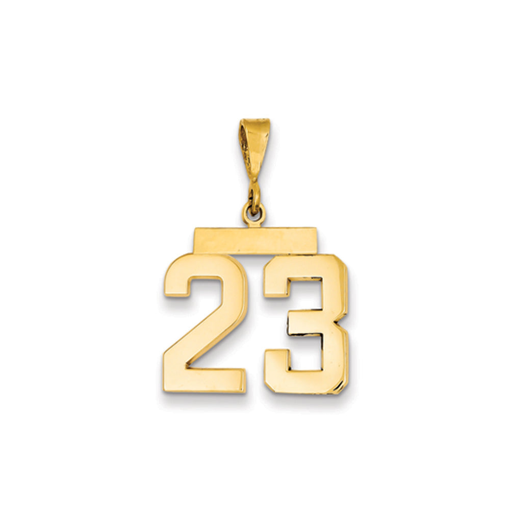 14k Yellow Gold, Athletic Collection Medium Polished Number 23 Pendant, Item P10444-23 by The Black Bow Jewelry Co.