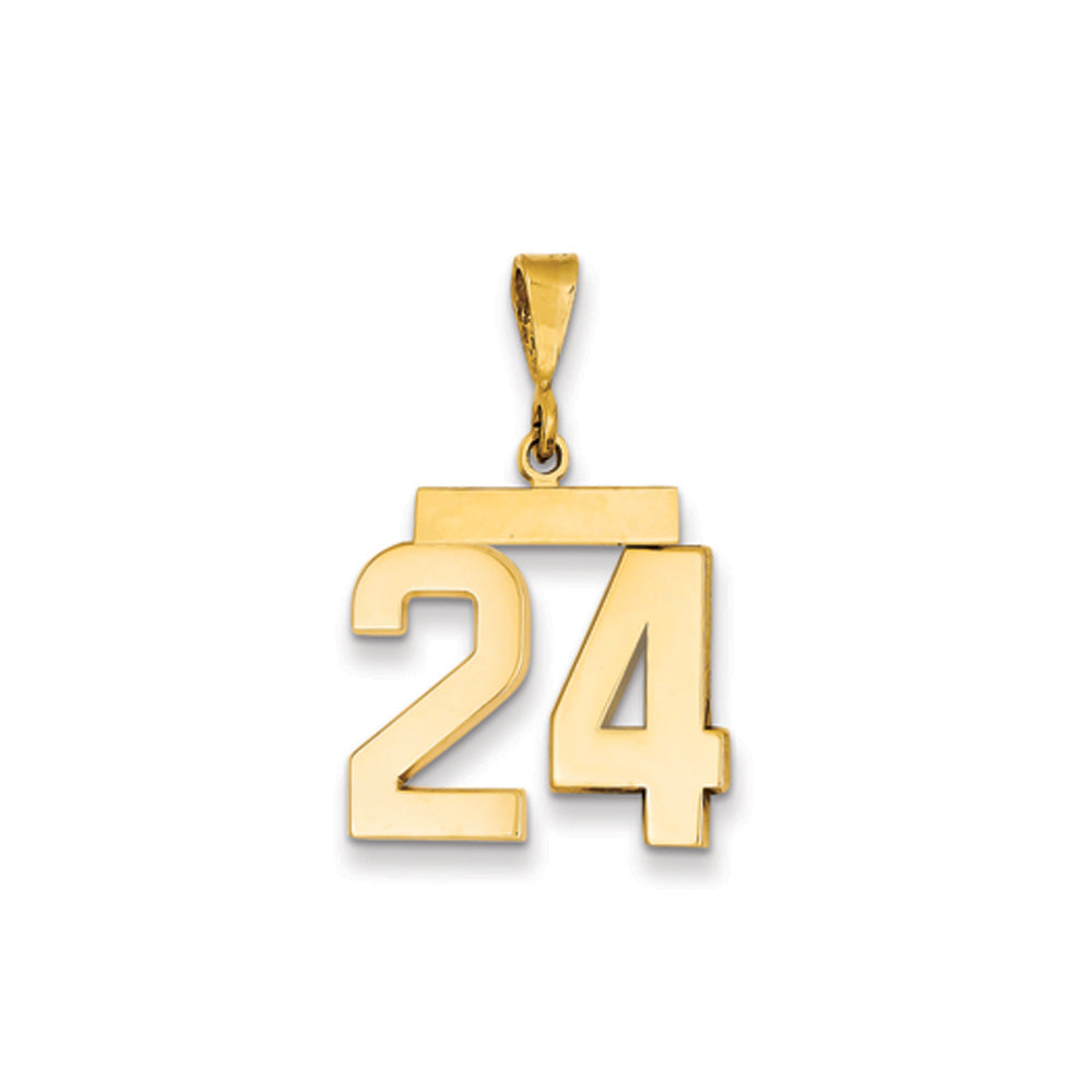 14k Yellow Gold, Athletic Collection Medium Polished Number 24 Pendant, Item P10444-24 by The Black Bow Jewelry Co.