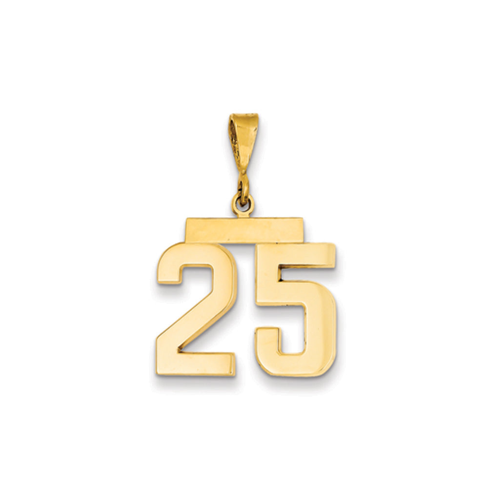 14k Yellow Gold, Athletic Collection Medium Polished Number 25 Pendant, Item P10444-25 by The Black Bow Jewelry Co.