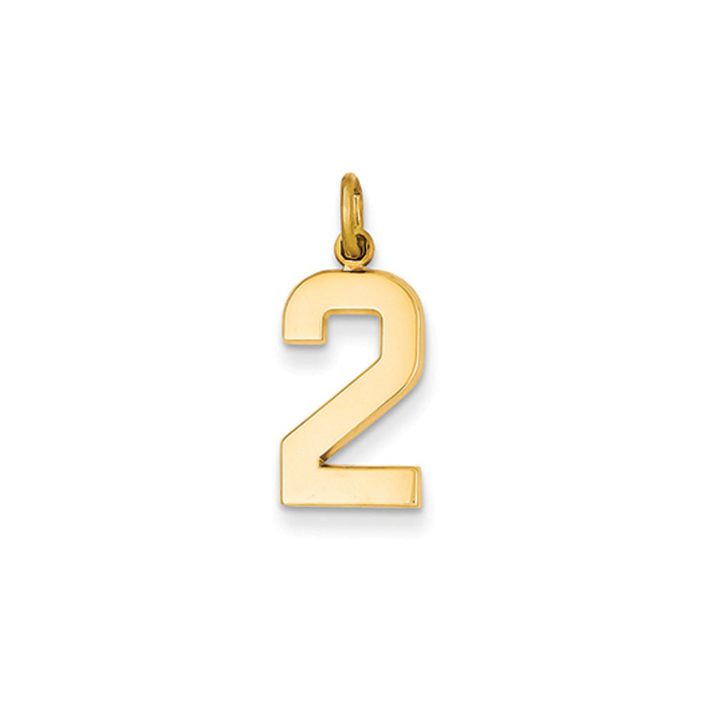 14k Yellow Gold, Athletic Collection Medium Polished Number 2 Pendant, Item P10444-2 by The Black Bow Jewelry Co.