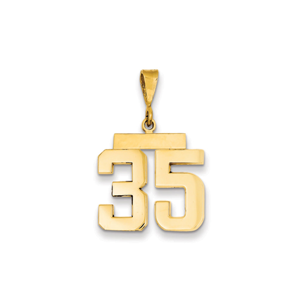14k Yellow Gold, Athletic Collection Medium Polished Number 35 Pendant, Item P10444-35 by The Black Bow Jewelry Co.