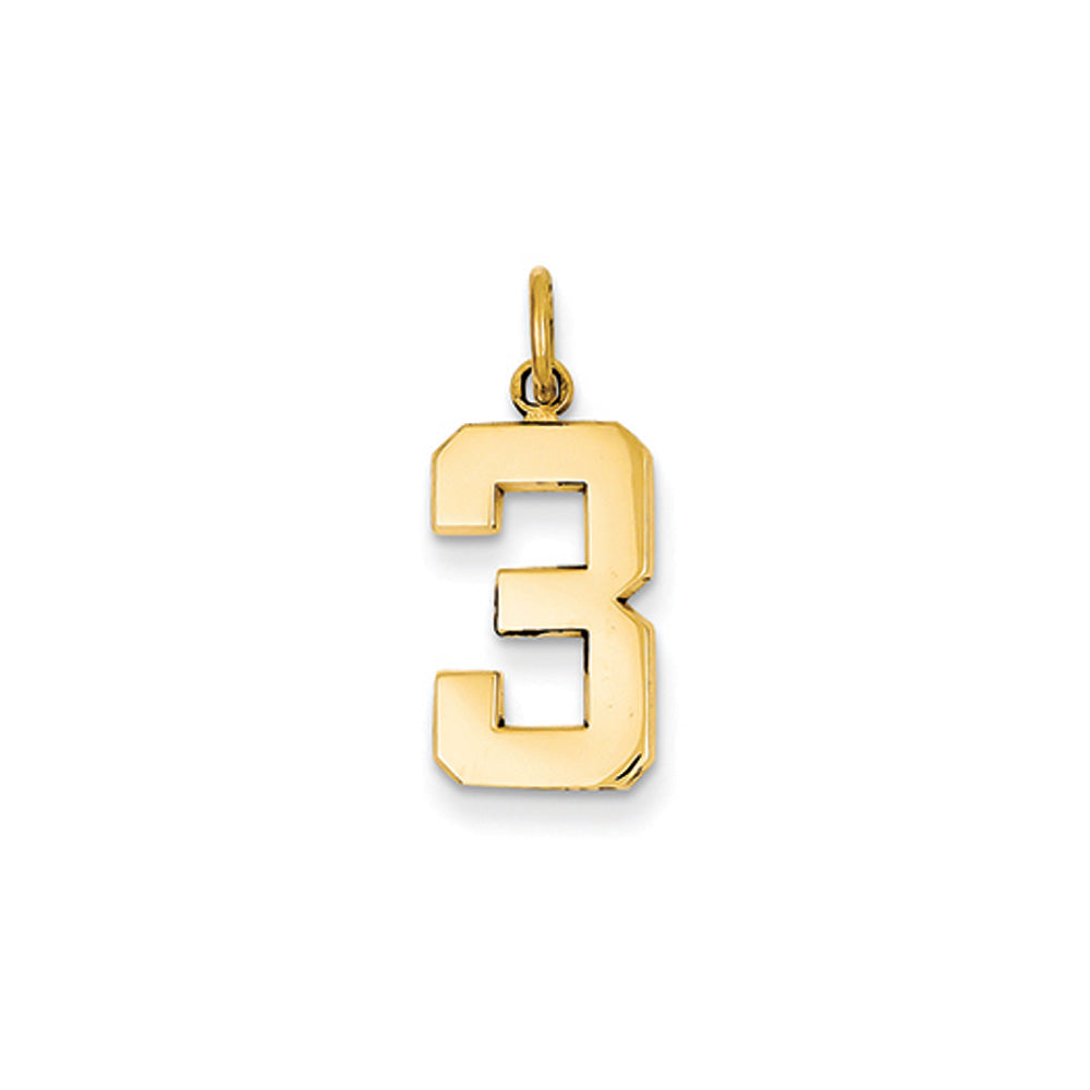 14k Yellow Gold, Athletic Collection Medium Polished Number 3 Pendant, Item P10444-3 by The Black Bow Jewelry Co.