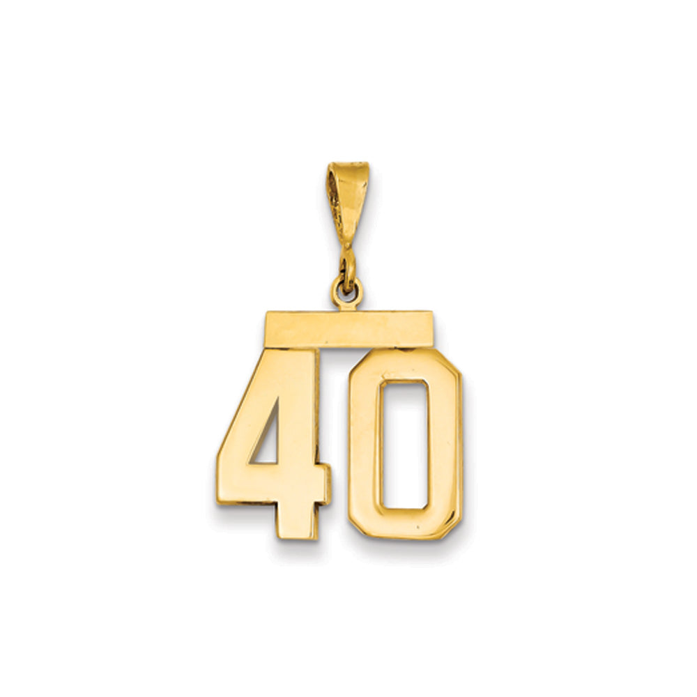 14k Yellow Gold, Athletic Collection Medium Polished Number 40 Pendant, Item P10444-40 by The Black Bow Jewelry Co.