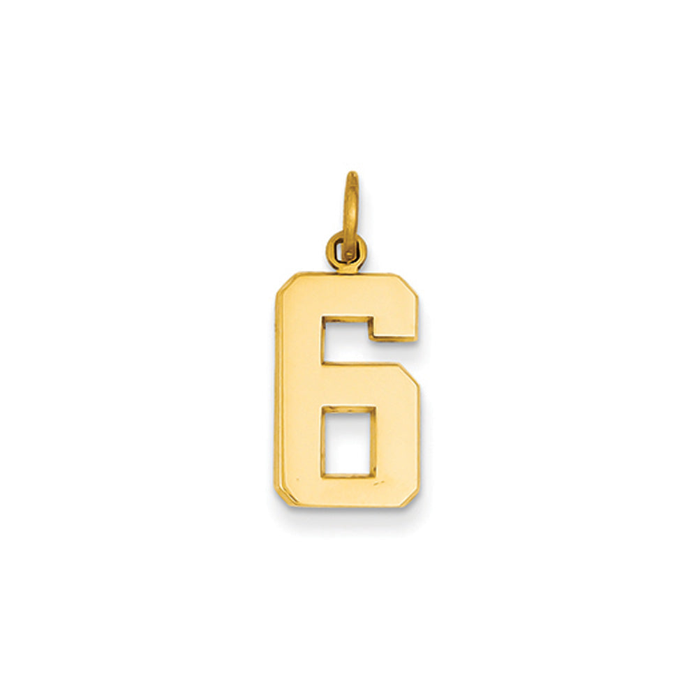 14k Yellow Gold, Athletic Collection Medium Polished Number 6 Pendant, Item P10444-6 by The Black Bow Jewelry Co.