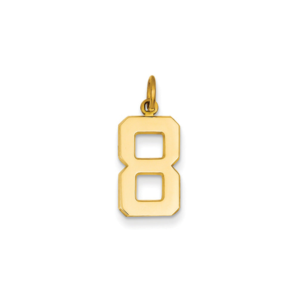 14k Yellow Gold, Athletic Collection Medium Polished Number 8 Pendant, Item P10444-8 by The Black Bow Jewelry Co.
