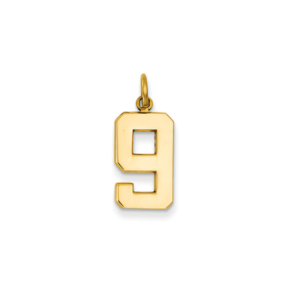 14k Yellow Gold, Athletic Collection Medium Polished Number 9 Pendant, Item P10444-9 by The Black Bow Jewelry Co.
