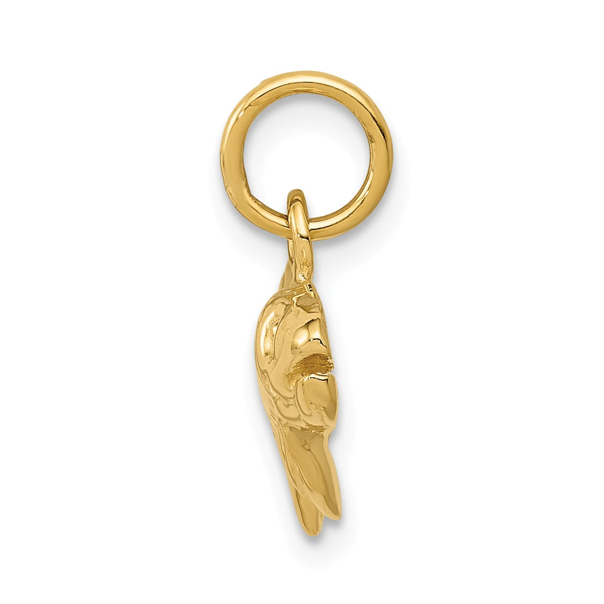 Alternate view of the 14k Yellow Gold Polished Fish Charm or Pendant by The Black Bow Jewelry Co.