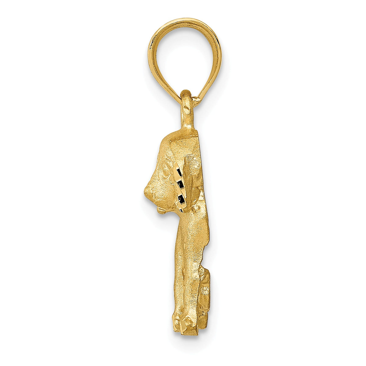 Alternate view of the 14k Yellow Gold 2D Satin and Diamond Cut Dog Pendant or Charm by The Black Bow Jewelry Co.