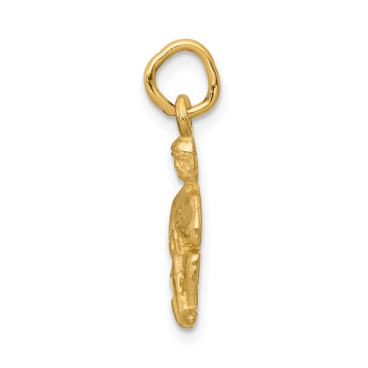 Alternate view of the 14k Yellow Gold Aquarius the Water Bearer Zodiac Satin &amp; Diamond Charm by The Black Bow Jewelry Co.